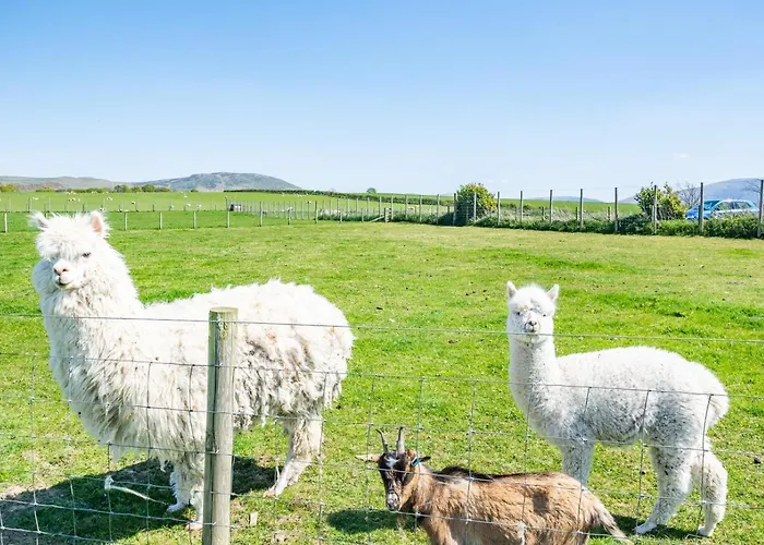 3 Bed In Isel Oc-o32074 Holiday home Sunderland (Cumbria)